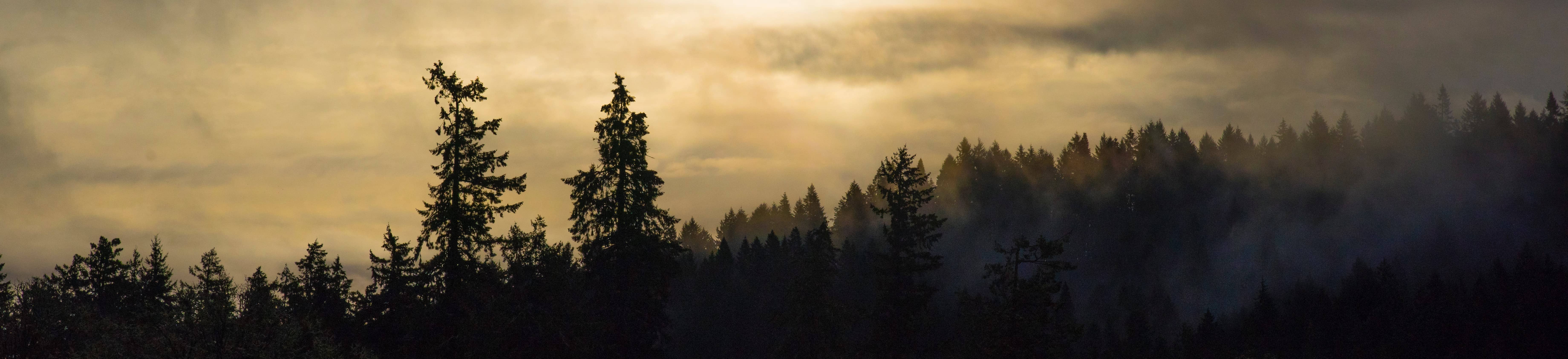 Gladstone Oregon community